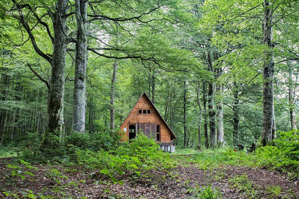 Hotel Wonderland à Chakvi Extérieur photo